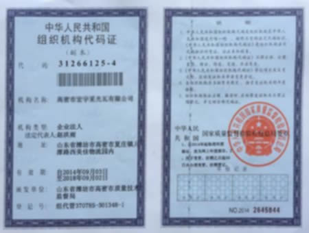 中華人民共和國組織機構代碼證